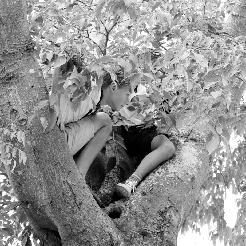 © Maria Beatriz de Vilhena - Image from the OMNIS photography project