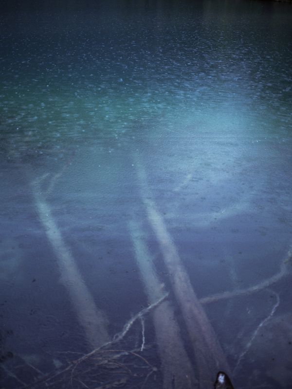 © Maria Beatriz de Vilhena - Image from the Irene photography project