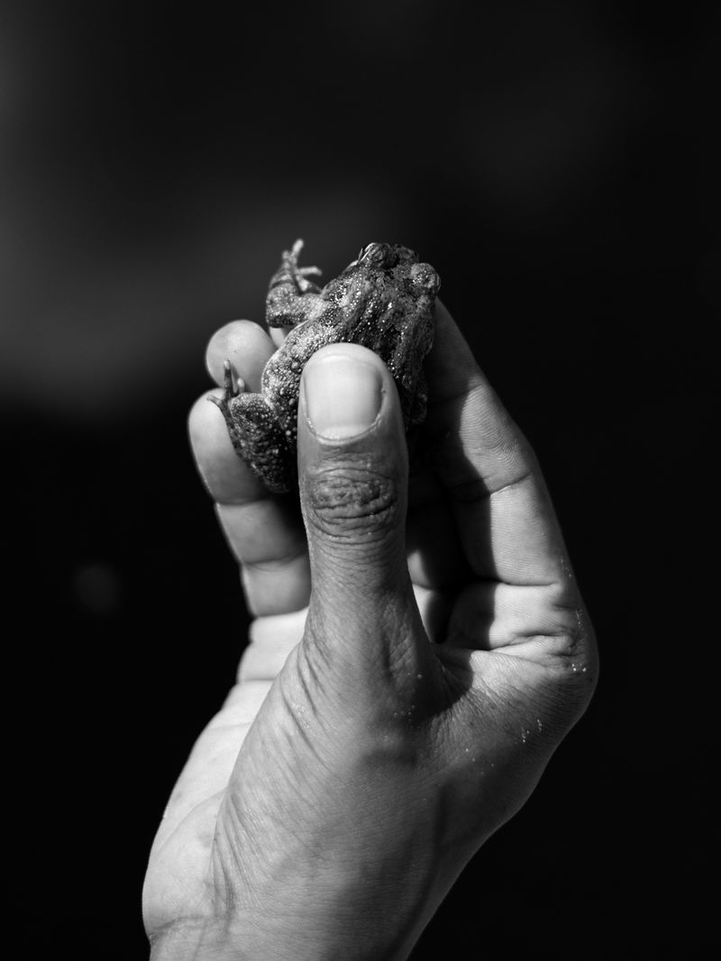 © Maria Beatriz de Vilhena - Image from the One dark night, Lazarus disappeared photography project