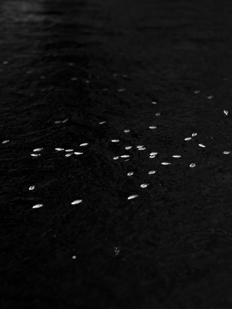 © Maria Beatriz de Vilhena - Image from the One dark night, Lazarus disappeared photography project