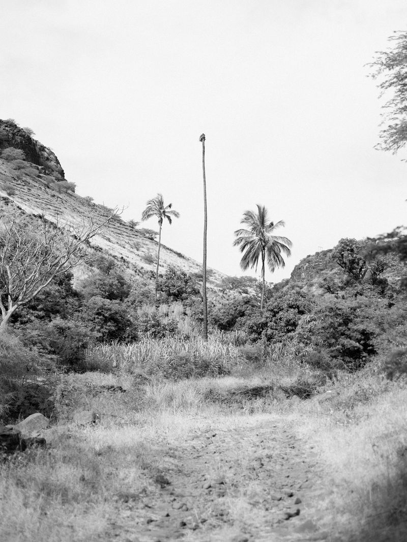 © Maria Beatriz de Vilhena - Image from the One dark night, Lazarus disappeared photography project