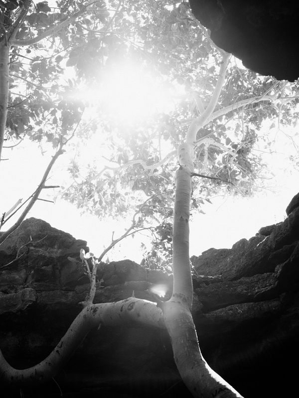 © Maria Beatriz de Vilhena - Image from the One dark night, Lazarus disappeared photography project