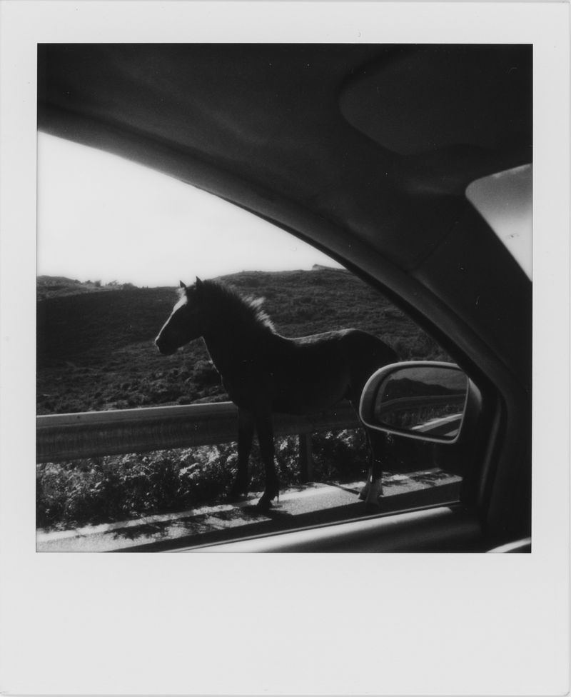 © Maria Beatriz de Vilhena - Image from the They sold the farm. And left. photography project