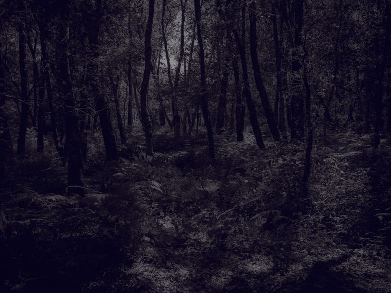 © Zekai Liao - Image from the Between Mountain photography project