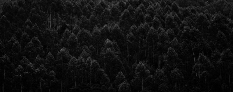 © Zekai Liao - Image from the Between Mountain photography project