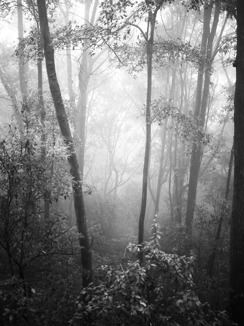 © Zekai Liao - Image from the Between Mountain photography project