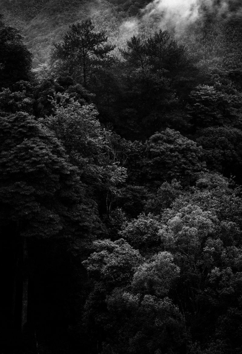 © Zekai Liao - Image from the Between Mountain photography project