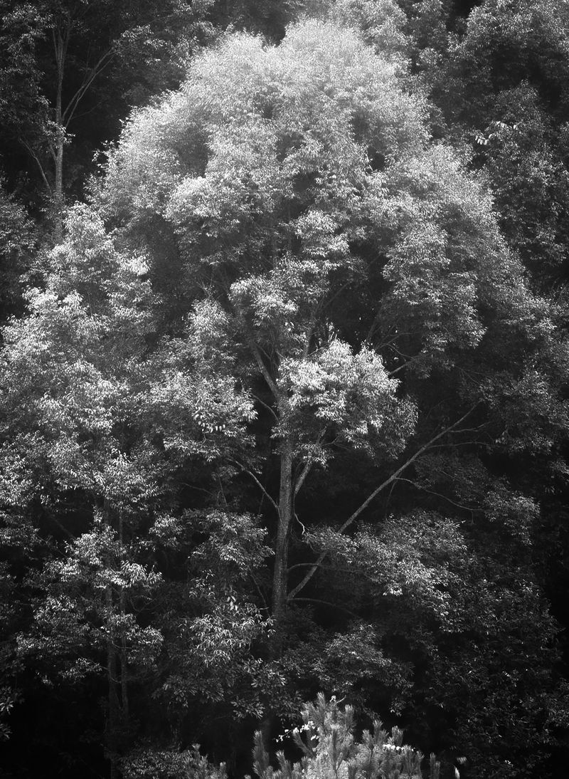 © Zekai Liao - Image from the Between Mountain photography project