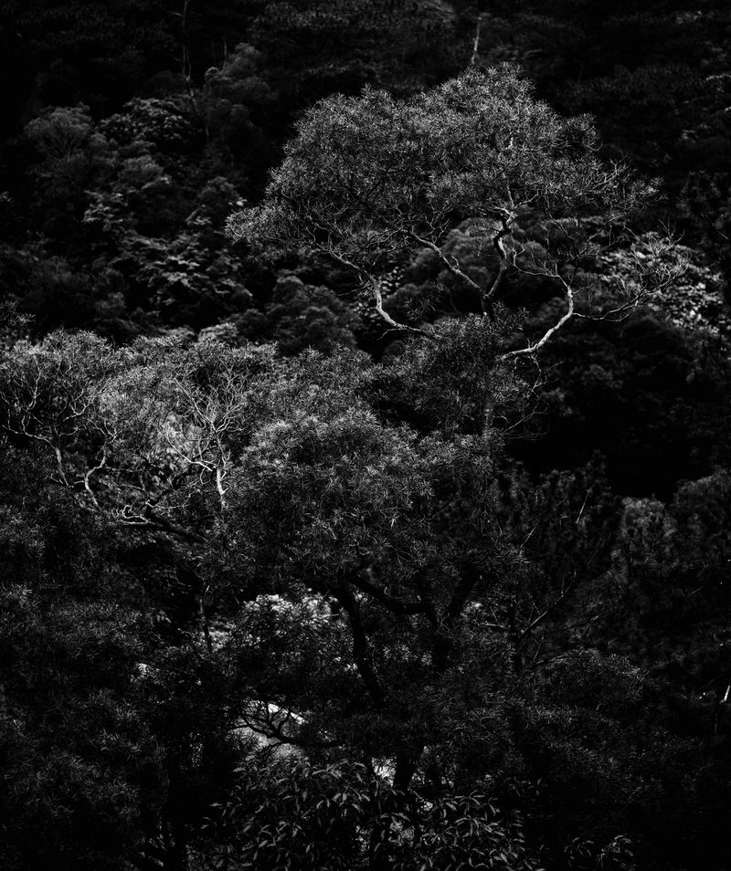 © Zekai Liao - Image from the Between Mountain photography project