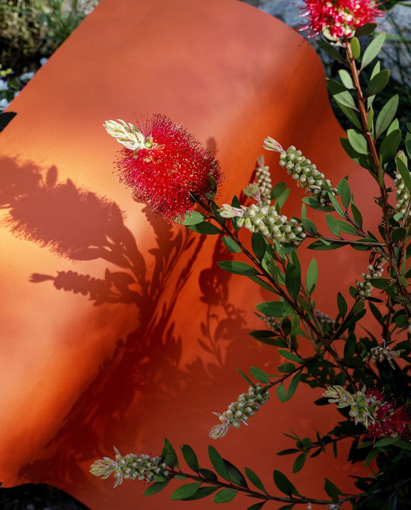 © anais boileau - Image from the A burning sun photography project