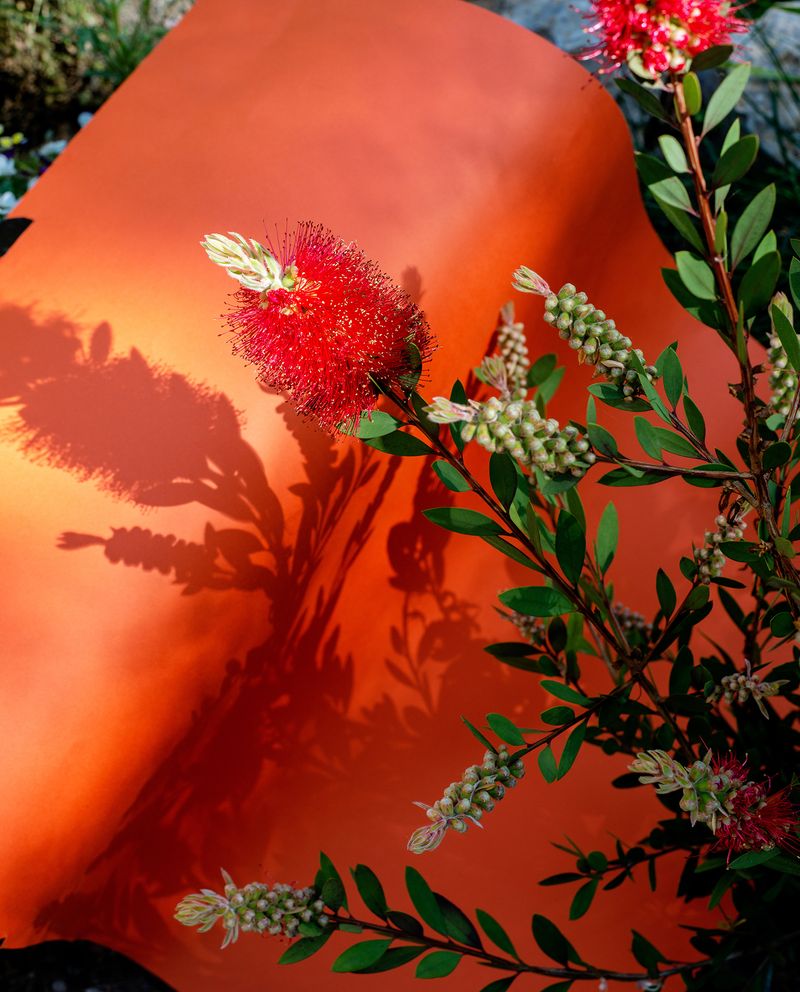 © anais boileau - Image from the Mistral Azur photography project