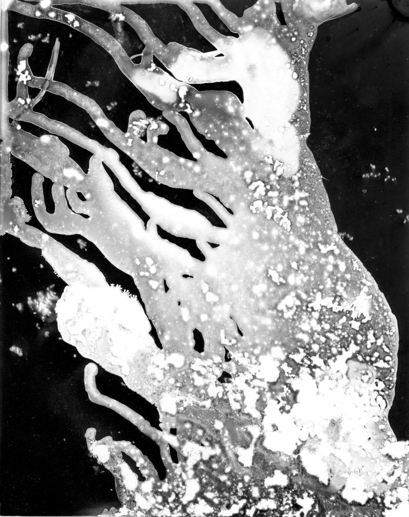 © Ana Vallejo - Image from the Neuromantic photography project