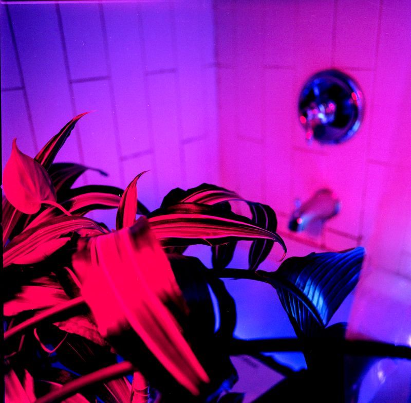 © Ana Vallejo - Image from the Neuromantic photography project