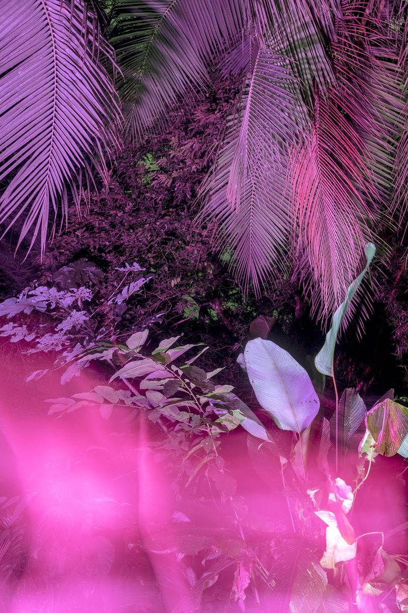 © Ana Vallejo - Image from the Neuromantic photography project