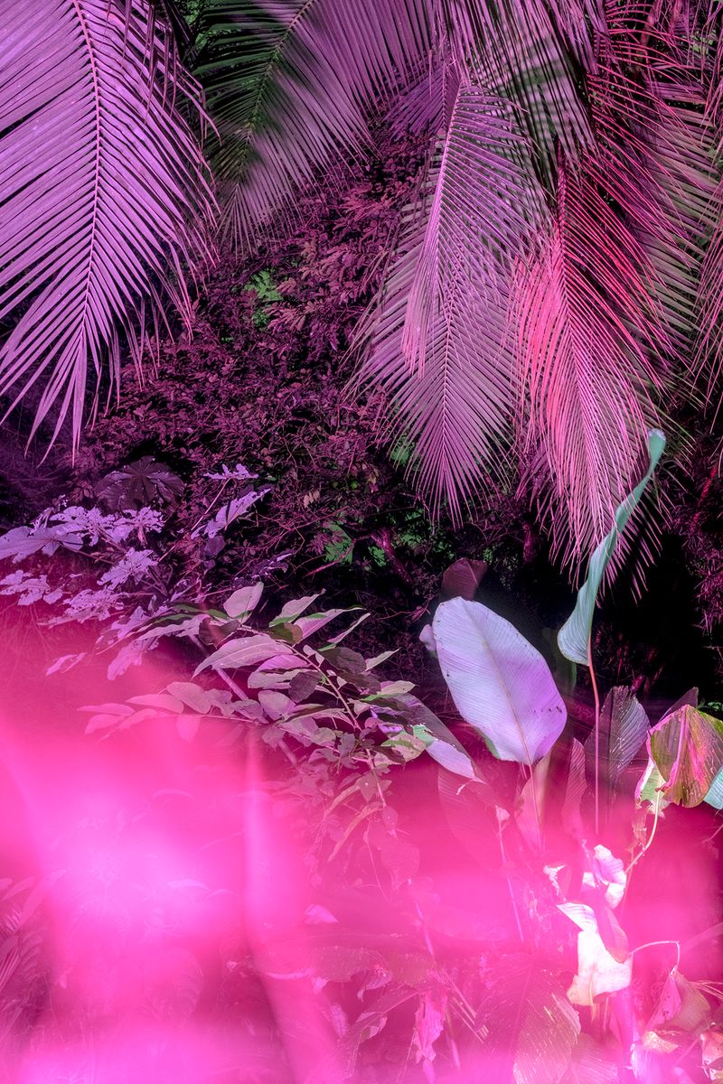 © Ana Vallejo - Image from the Neuromantic photography project