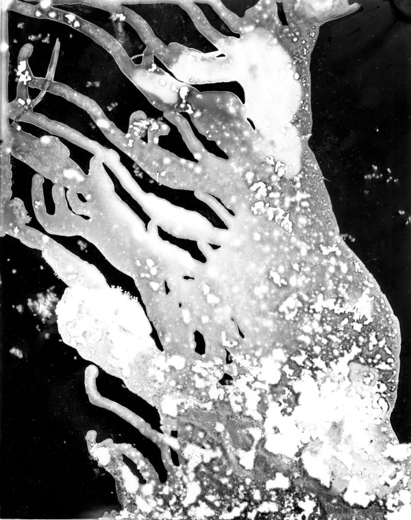 © Ana Vallejo - Image from the Neuromantic photography project