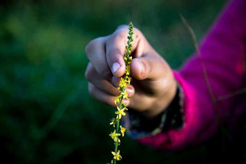 © Zohreh Saberi - Image from the Into the light photography project