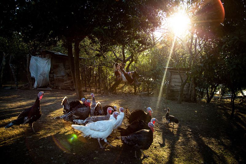 © Zohreh Saberi - Image from the Into the light photography project