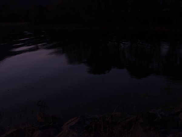 © Rachel Wallace - Image from the Nothing gold can stay photography project