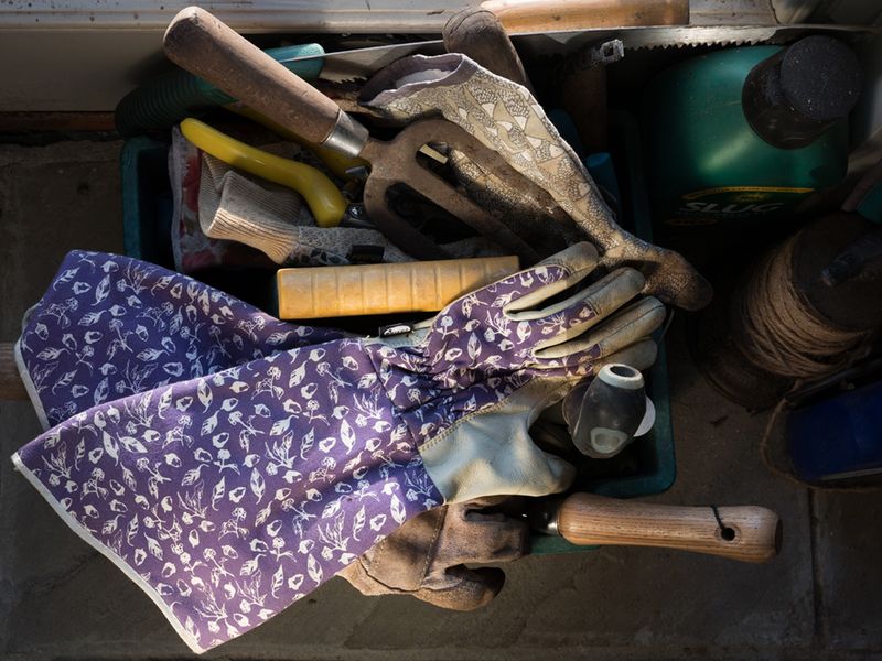 © Rachel Wallace - Image from the Nothing gold can stay photography project