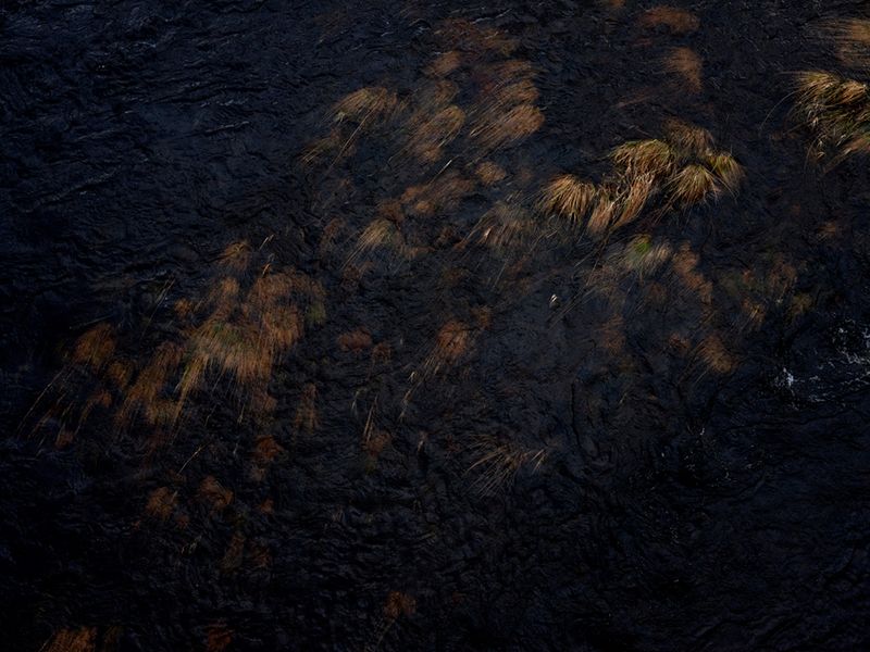 © Rachel Wallace - Image from the Nothing gold can stay photography project