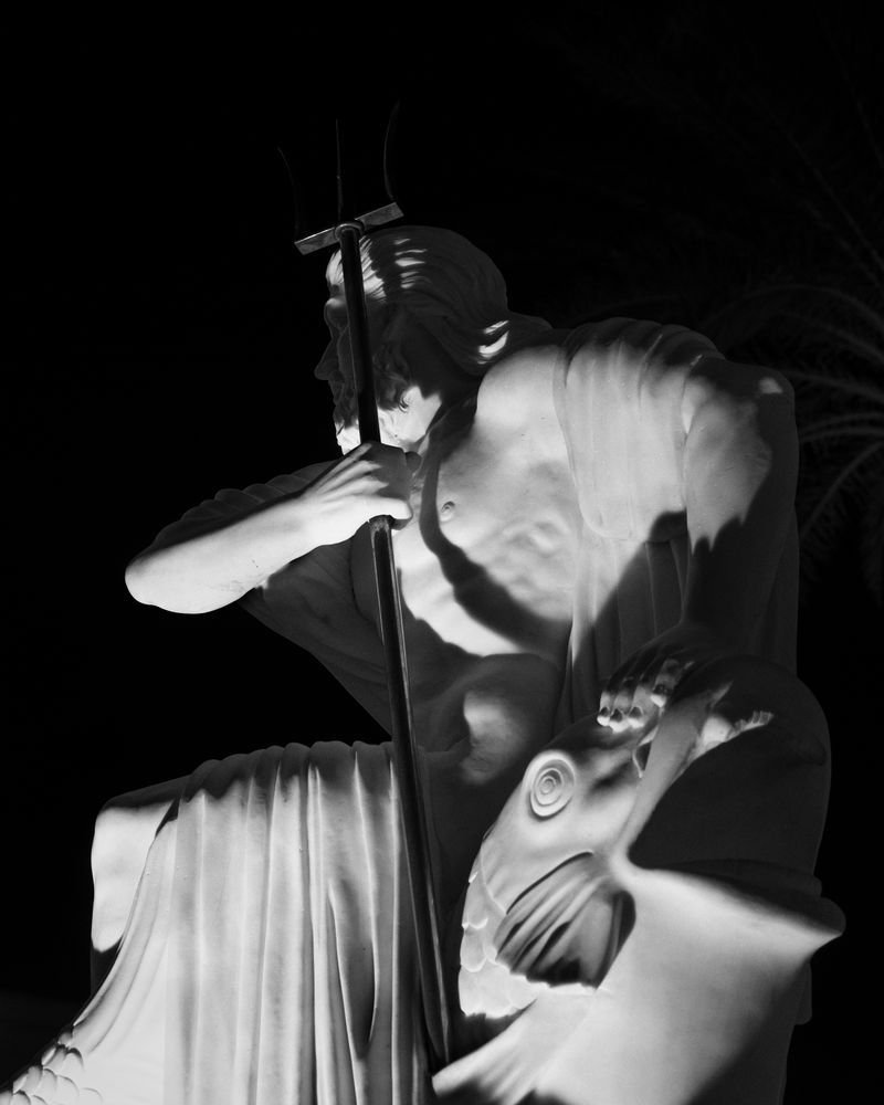 © Alana Perino - Saint Armands Key