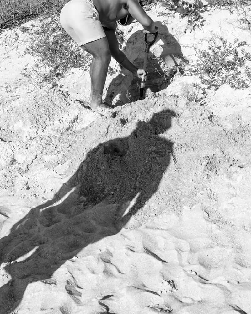 © Alana Perino - Myles and Darwin