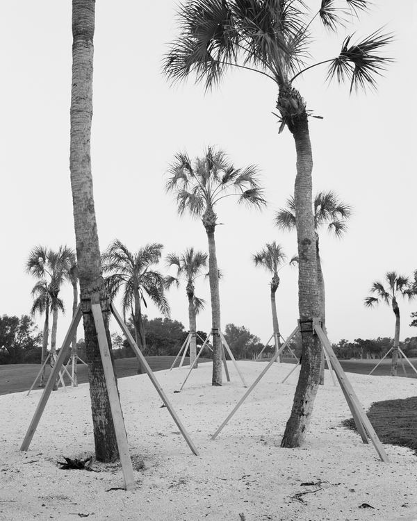 © Alana Perino - Longboat Key Club