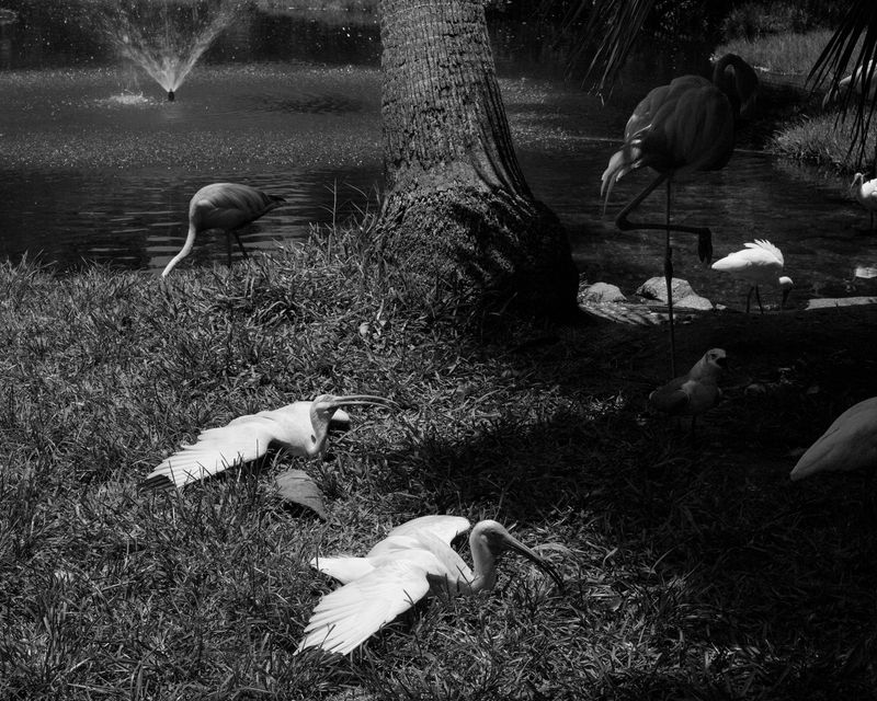 © Alana Perino - Crystal Lake