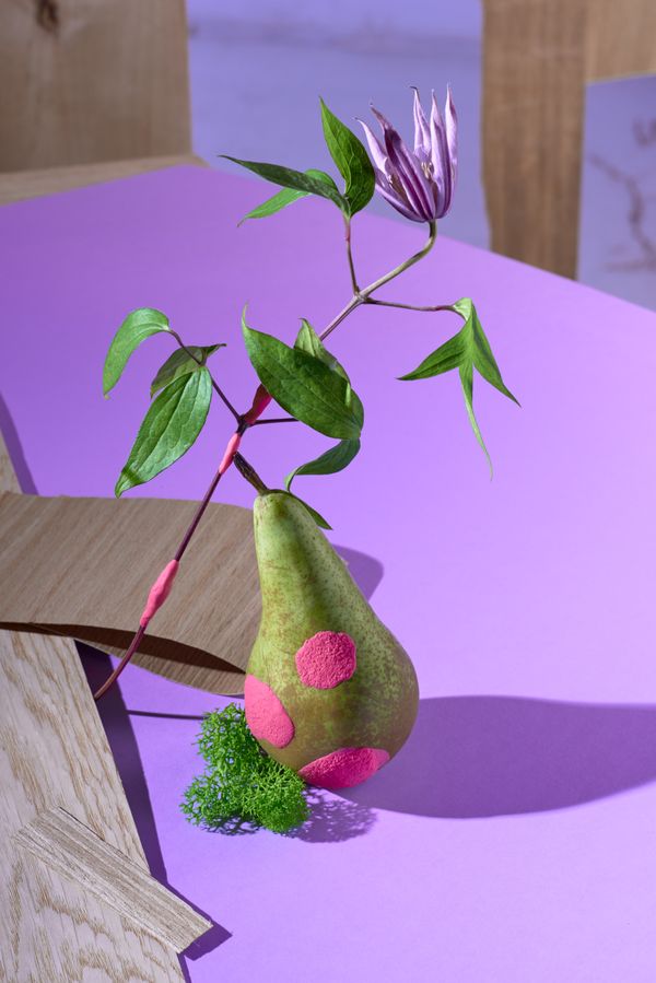 © Zane Priede - Image from the Continuous Gardens photography project
