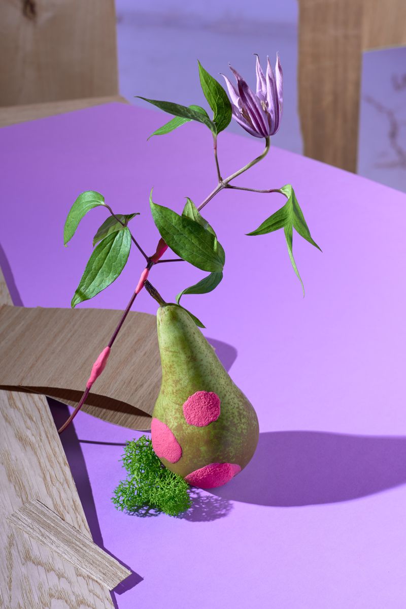 © Zane Priede - Image from the Continuous Gardens photography project