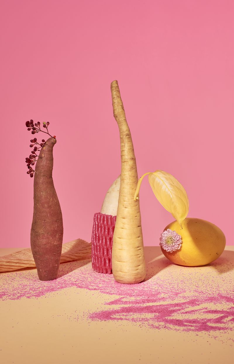 © Zane Priede - Image from the Continuous Gardens photography project