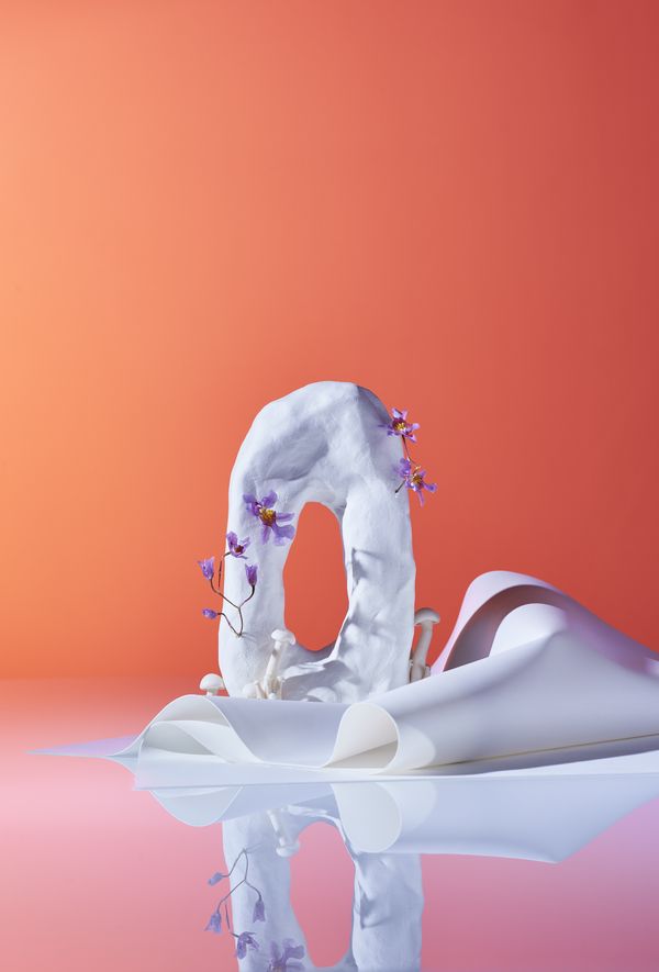 © Zane Priede - Image from the Continuous Gardens photography project