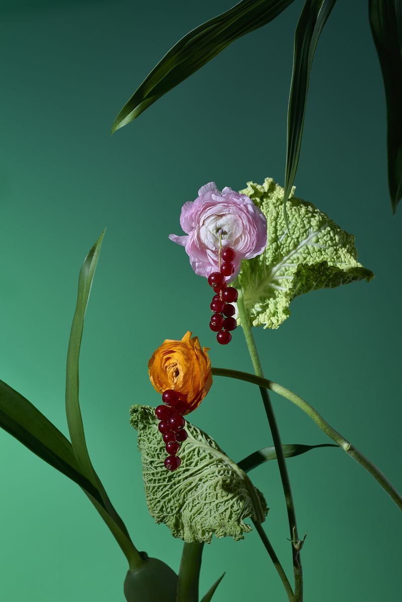 © Zane Priede - Image from the Continuous Gardens photography project