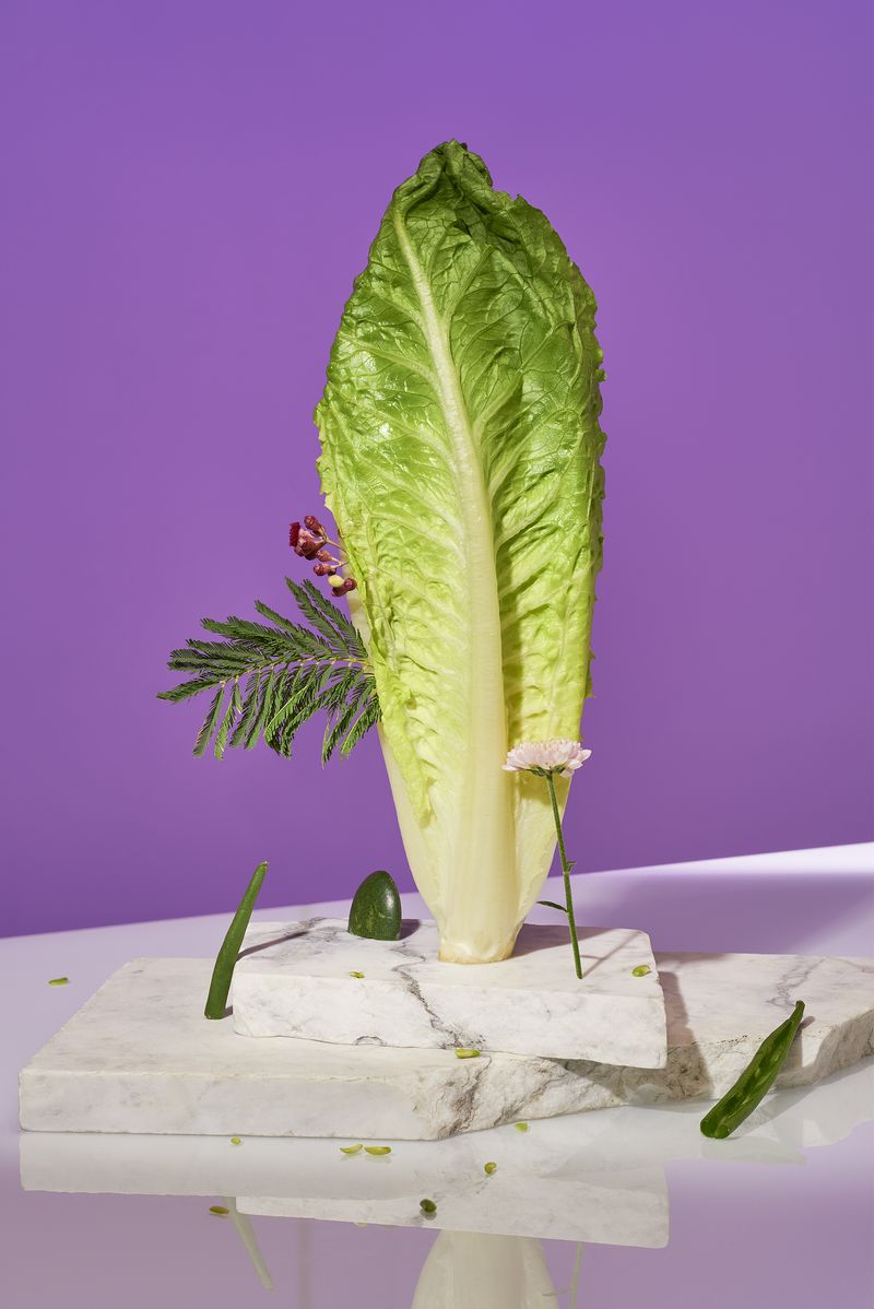 © Zane Priede - Image from the Continuous Gardens photography project