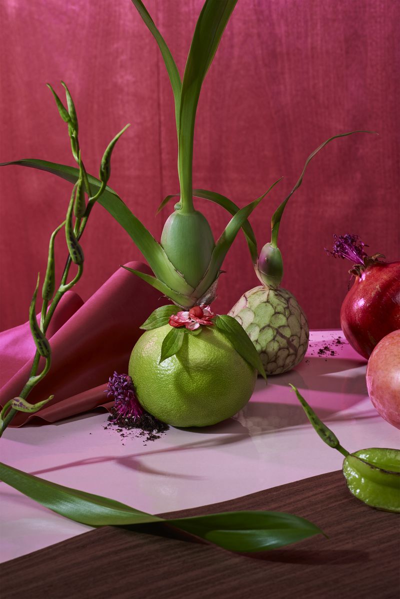 © Zane Priede - Image from the Continuous Gardens photography project