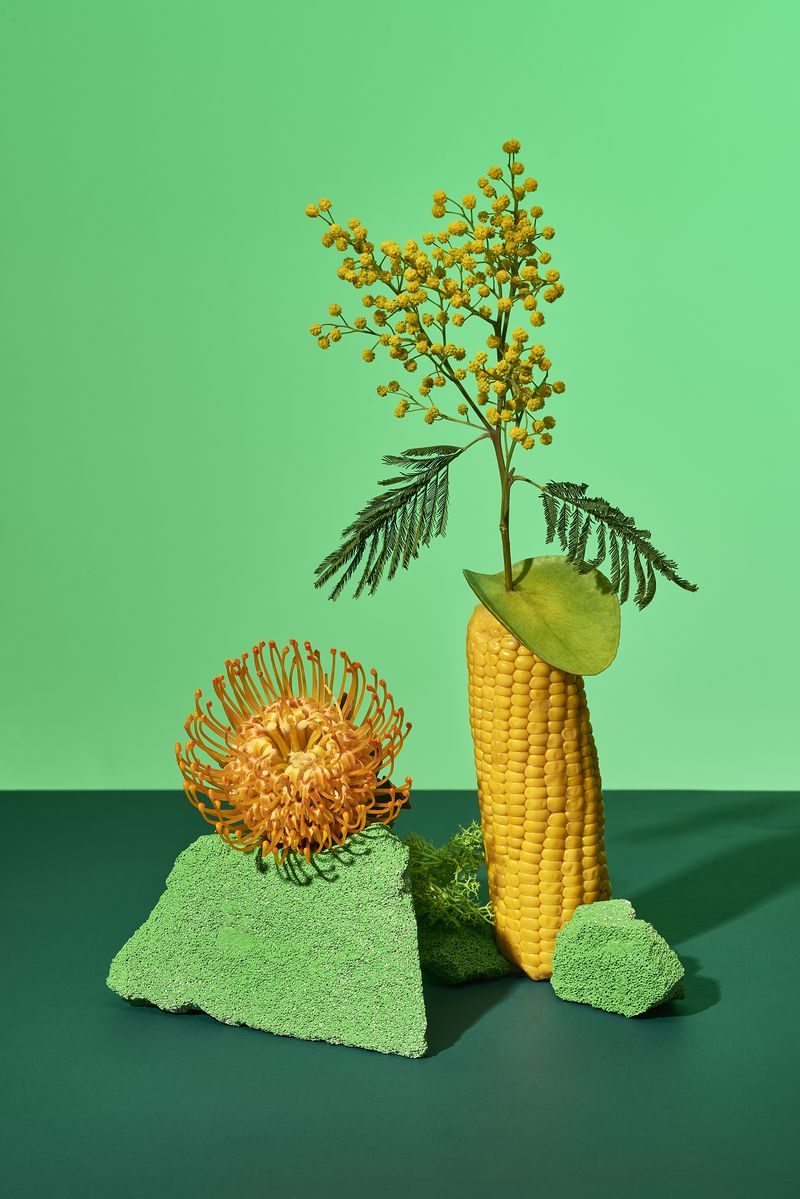 © Zane Priede - Image from the Continuous Gardens photography project