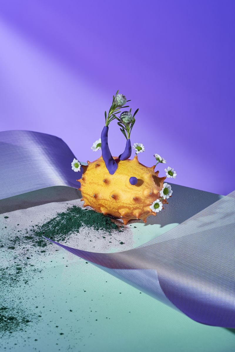 © Zane Priede - Image from the Continuous Gardens photography project
