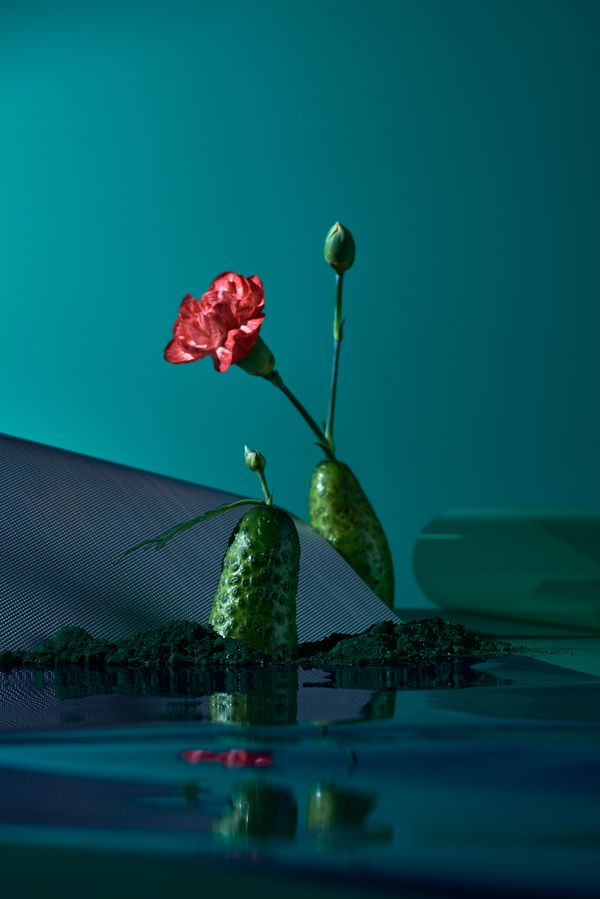 © Zane Priede - Image from the Continuous Gardens photography project