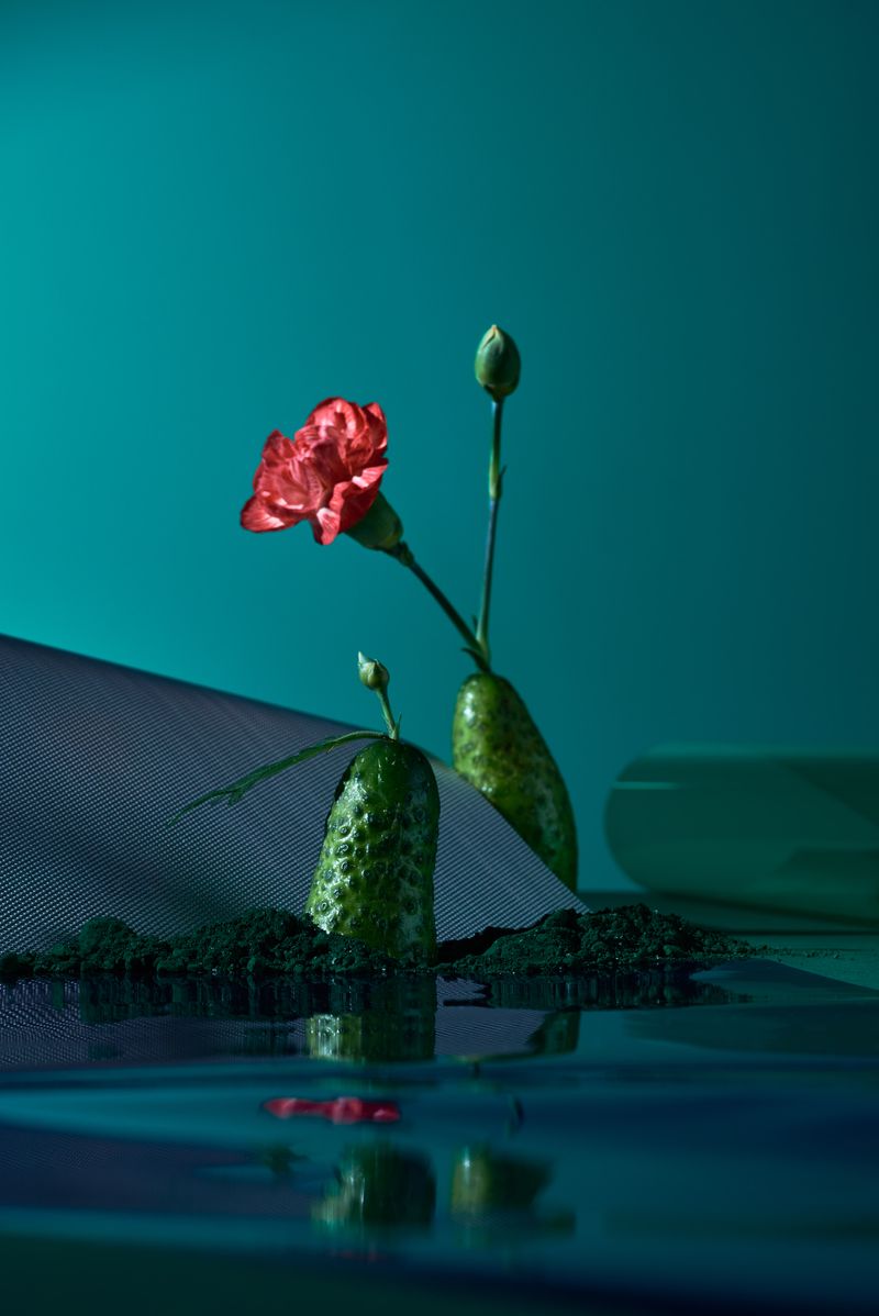 © Zane Priede - Image from the Continuous Gardens photography project