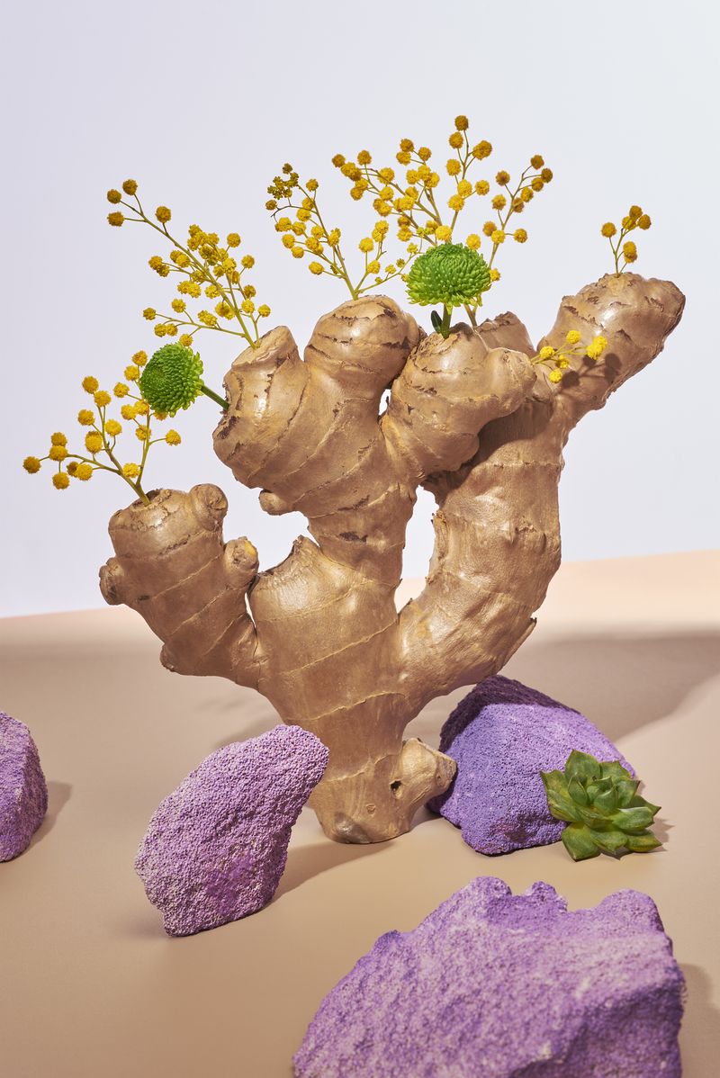 © Zane Priede - Image from the Continuous Gardens photography project