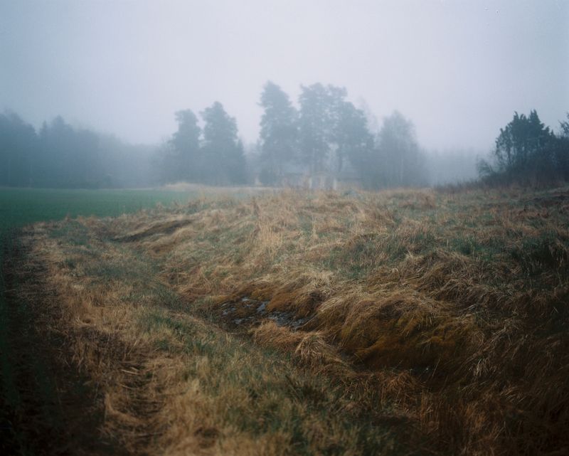 © Sanni Saarinen - Parainen, 2017