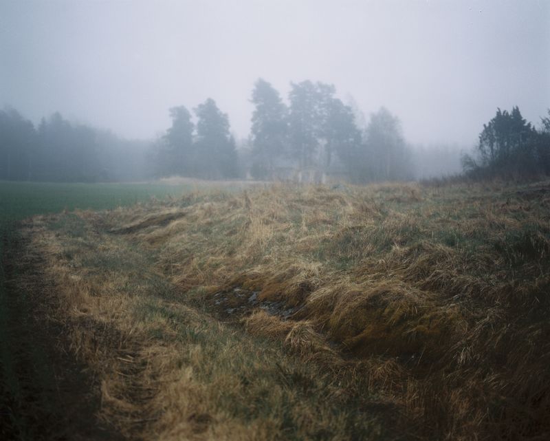 © Sanni Saarinen - Parainen, 2017