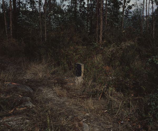 © Marta Pinto Machado - Image from the Now everything is lost photography project