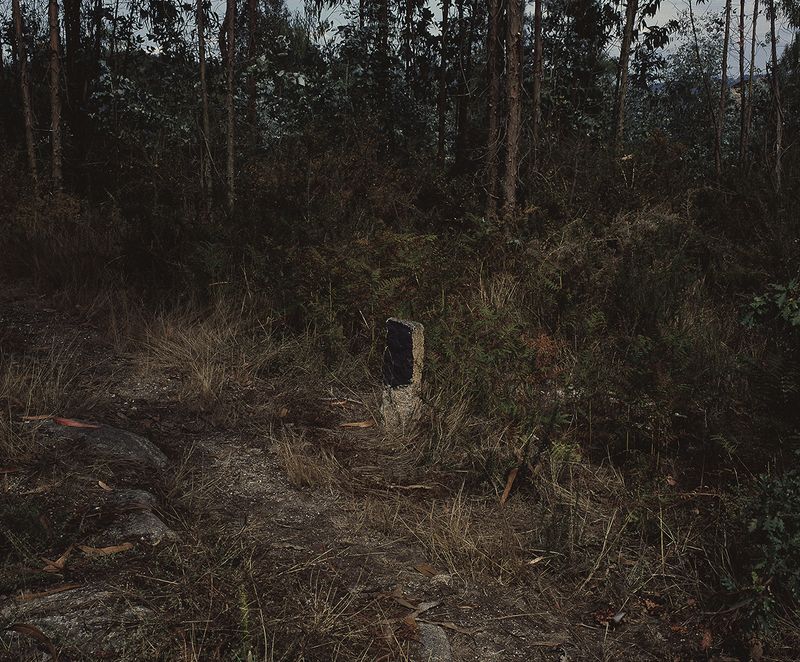 © Marta Pinto Machado - Image from the Now everything is lost photography project