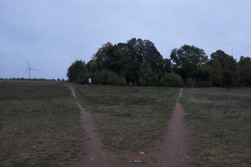 © Sofie Puttfarken - becoming
