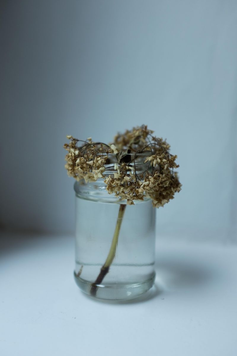 © Sofie Puttfarken - becoming
