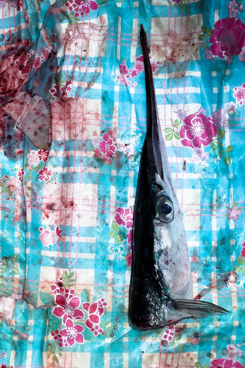 © Lena Matrosova - Image from the BIG BEARS, HIGH PUMPS photography project