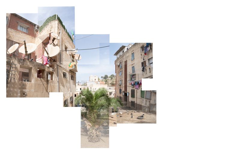 © Clea Rekhou - A small garden between two buildings at the housing project 'Climat de France'. Algiers, Algeria 2022