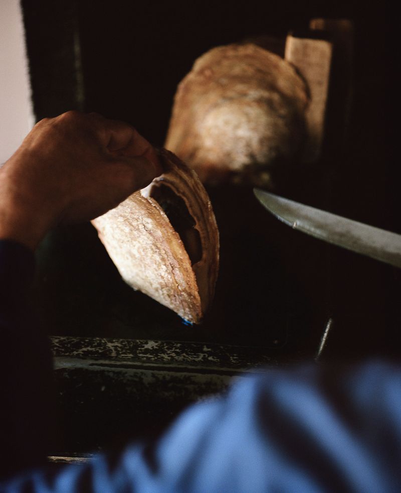 © Rita Puig-Serra Costa - Image from the Anatomy of an Oyster photography project